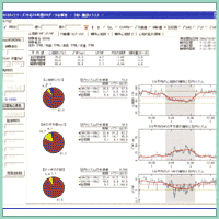 MemCalc/Sorong